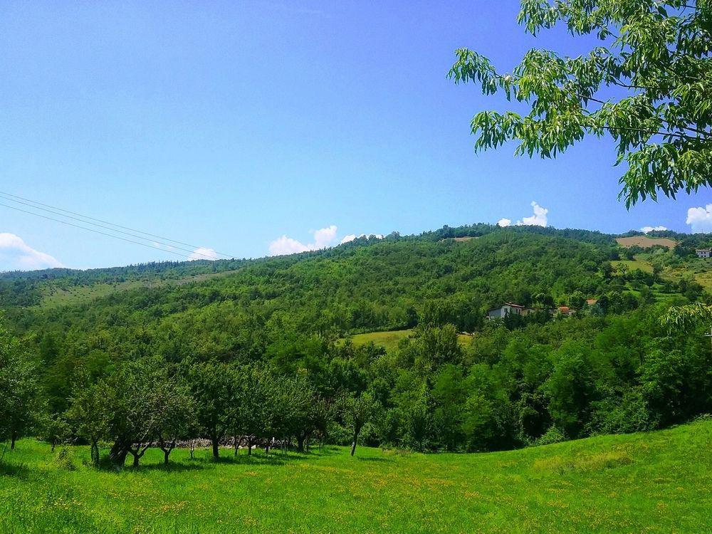 Il Mio Rifugio Guest House Gaggio Montano Bagian luar foto