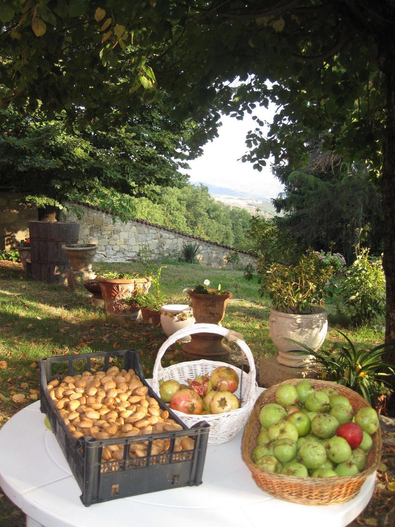 Il Mio Rifugio Guest House Gaggio Montano Bagian luar foto